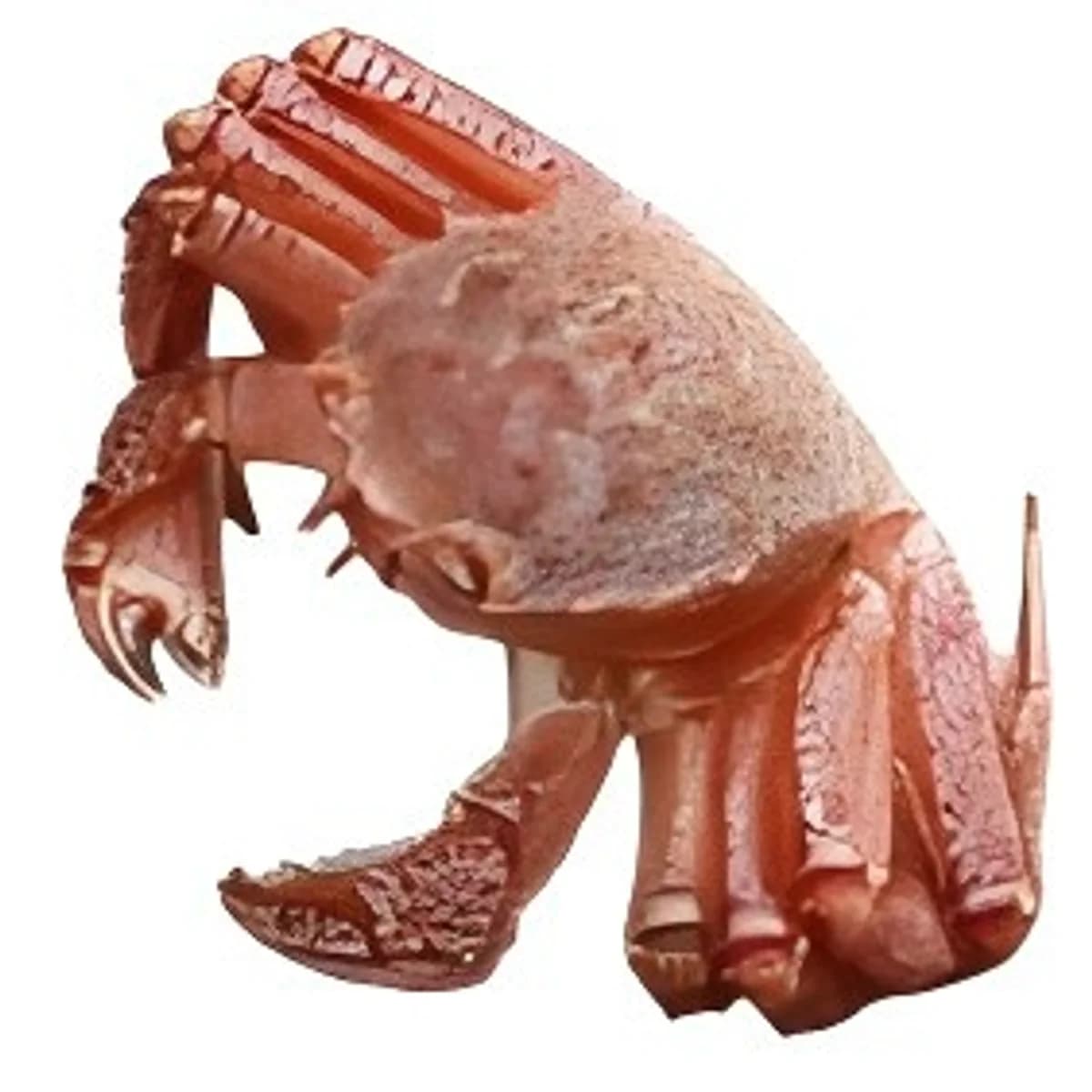 KEGANI