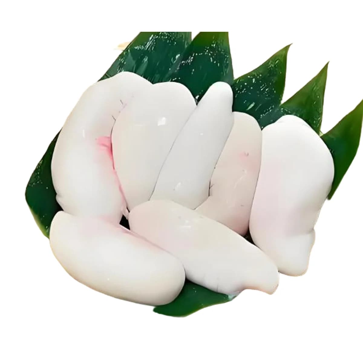 河豚白子