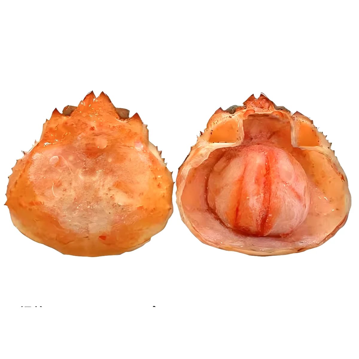 蟹宝