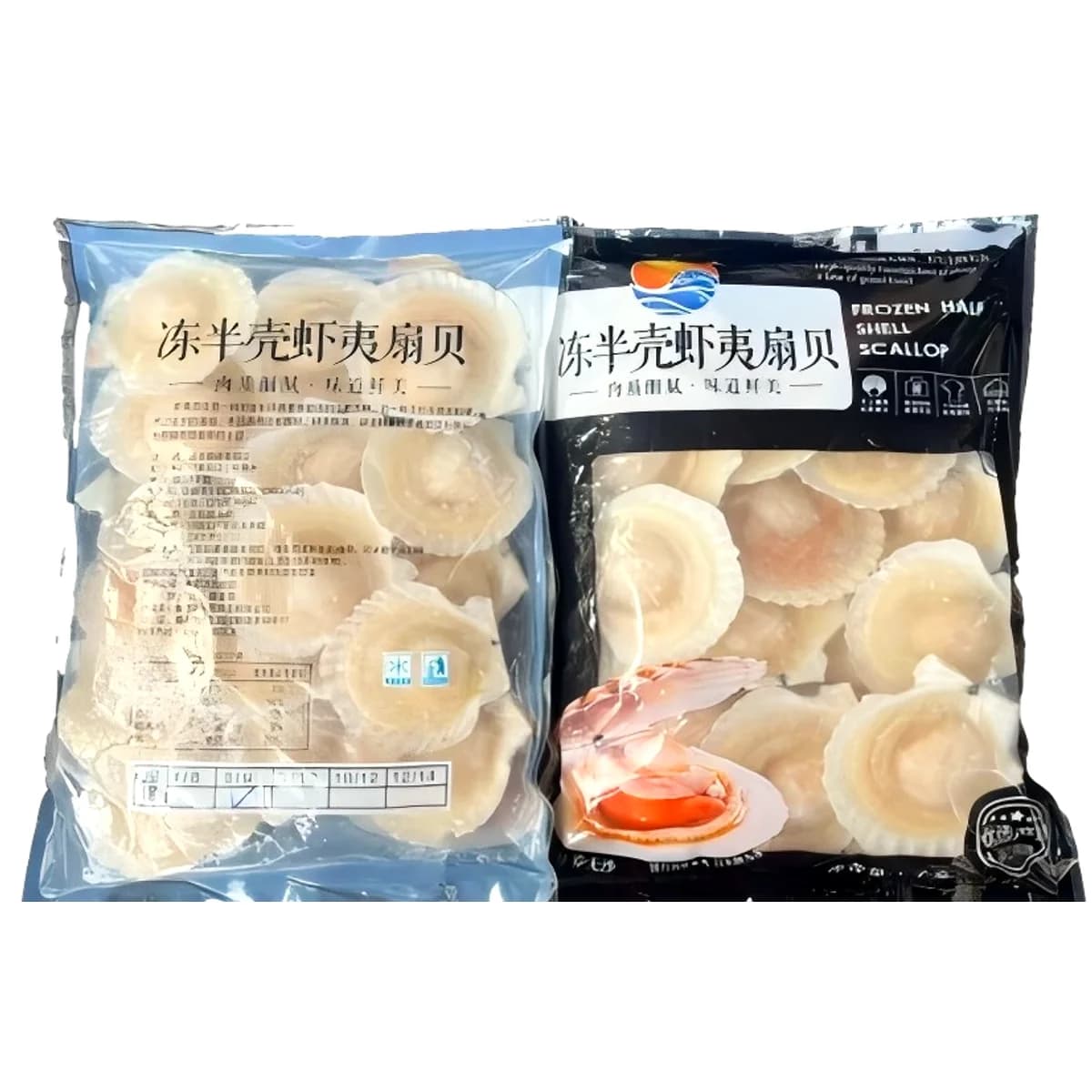 半壳扇贝（7-8）无卵