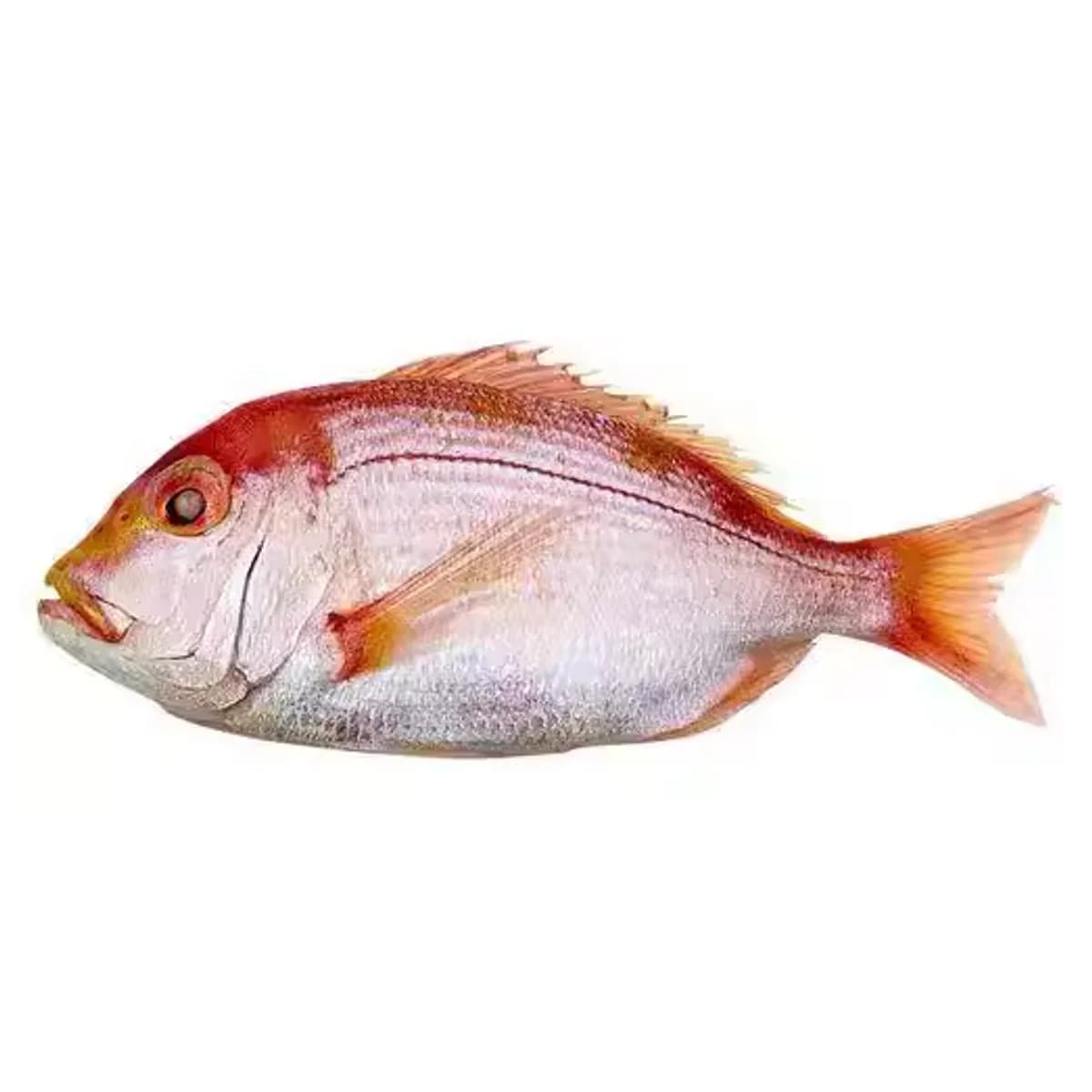 MADAI