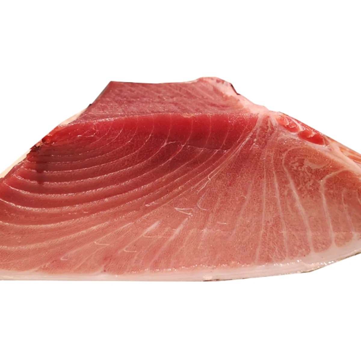 Japan Fresh TUNA